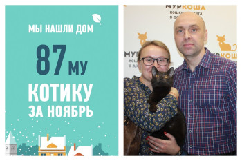 Нам потребовалось менее двух месяцев, чтобы найти лучшую семью для Дейла!