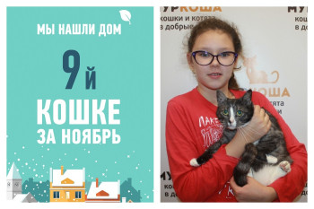 Трехлетней Кристал улыбнулась удача!
