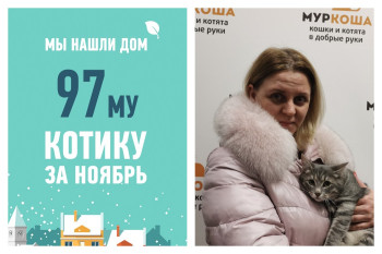 У семимесячного котенка Симкина появилась хозяйка!