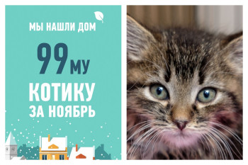 Малыш Флукс стал домашним!