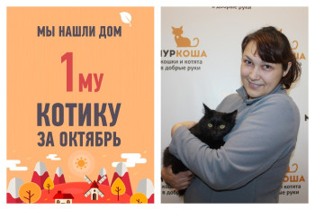 Открывает хит-парад счастливчиков октября котенок Морган!