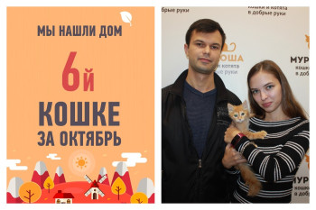 Малышка Клюковка рада ознакомить вас с своей новой семьей!