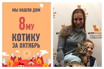 Трехлетний кот Марти с переломом лапки стал домашним!