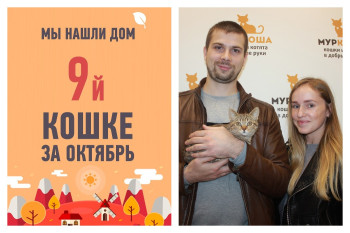 Спустя месяц в приюте отправляется в счастливую жизнь кошка Лапушка!