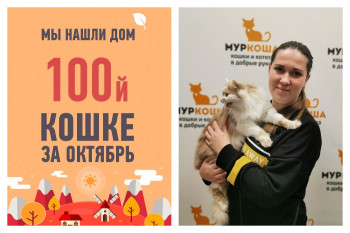 Юбилейной 100 выпускницей октября становится кошка Нюся!