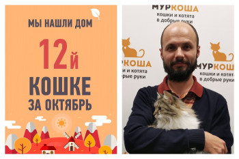 Счастливая сказка для годовалой кошки Мальвины!