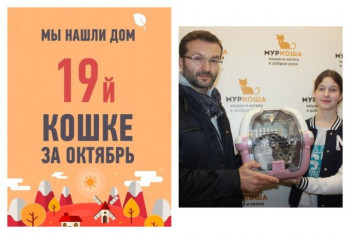 Двухлетняя Киана стала домашней любимицей!