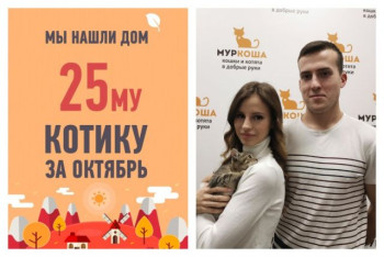 Четырехмемячный Валентино уезжает в новый дом!