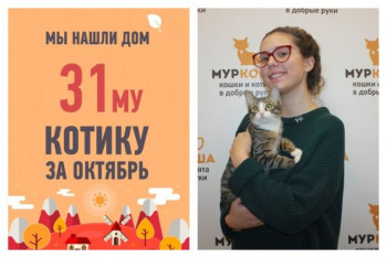 Мы нашли родителей для Форсажа всего за два месяца!