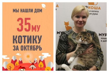 Семилетний Винипушик узнал, что счастья достоин каждый!