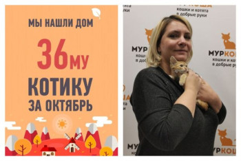 Всего за месяц крошка Смурфик нашел свою маму!
