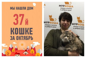 Восьмилетняя Воробышек наконец дождалась своего Человека!