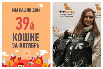 Малибу нашла свою маму всего за полтора месяца!
