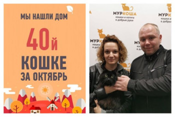 Трехлетняя Василисочка вновь стала домашней!