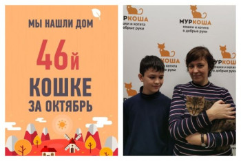 Всего за три недели Леопарда нашла свою семью!