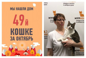 Полуторагодовалая Пчелка поймала удачу за хвост!