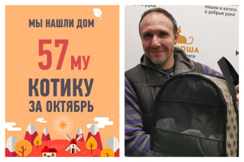 Двухлетний Архип дождался своего Человека!