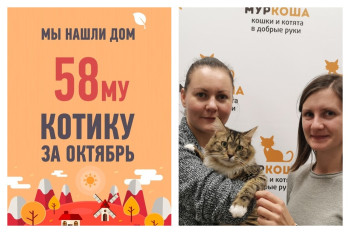 Новый дом для годовалого Майки!