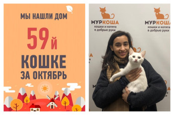 Тотана стала домашней любимицей!