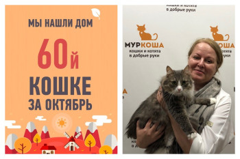 Двухлетняя Веточка дома!