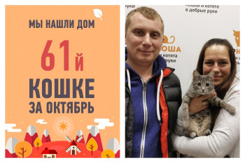 У 5-месячной Грейли появилась любящая семья!