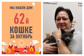 Долгожданное счастье у уличной кошки Пумпоши!