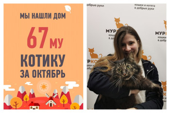 Провожаем в счастливую жизнь кота Джулая!