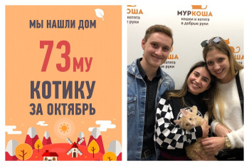 Пятимесячный Колобок стал домашним любимцем, ура!