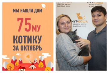 У котенка Миража появилась любящая семья!