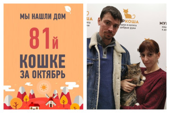 Годовалая Яснорада дождалась своей судьбоносной встречи!