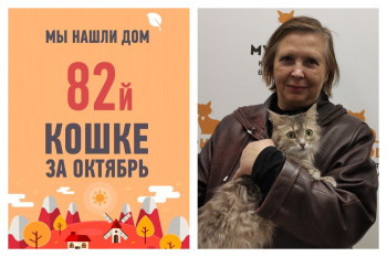 Моделька вытянула счастливый билет!