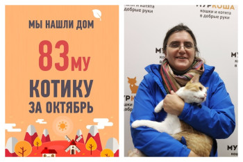 Сегодня фортуна улыбнулась Ричардсону!