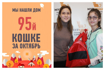 Провожаем домой кошку Витаминку!