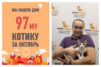У малыша Маврикия появился котопапа!