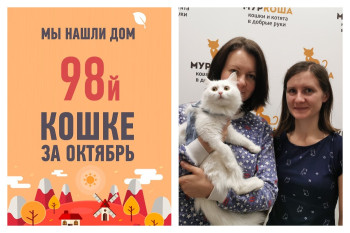 Своя семья появилась и у кошки Каэтаны!