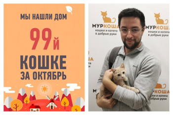 Провожаем в счастливую жизнь малышку Красаву!