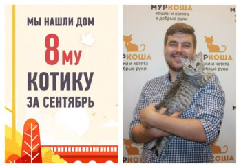 Котёнок Тутовник стал домашним всего за месяц!
