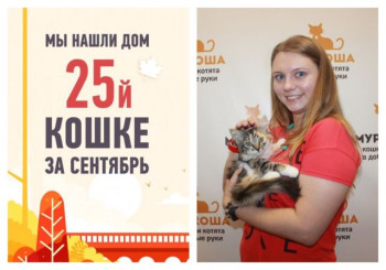 Мы нашли новый дом для крошки Фортии всего за пять недель!