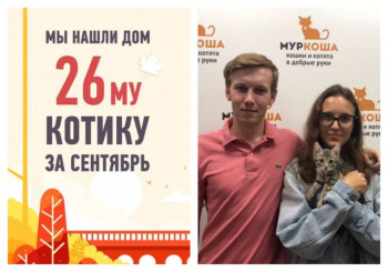 Спустя три недели в приюте малыш Веласкес стал домашним!