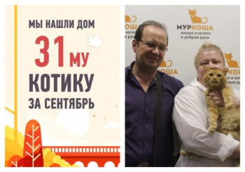 Всего три недели на поиск дома: кот Марсель обрел семью!