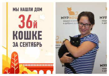 У кошки Дуни появилась любящая хозяйка спустя месяц в приюте!