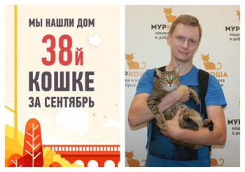 Спустя два месяца отправляется домой кошка Джоди!