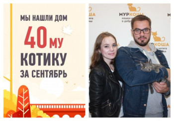 Ровно за месяц мы нашли хозяев для котенка Шарклета!