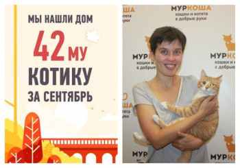 Десятимесячный Муфель рад познакомить вас с своей хозяйкой!