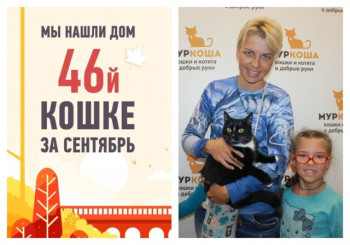Двухлетняя кошка Груша снова стала домашней!