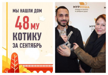 У котенка Пусика появились любящие хозяева!