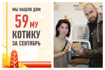 Ура! Облепиховый отмечает новоселье!