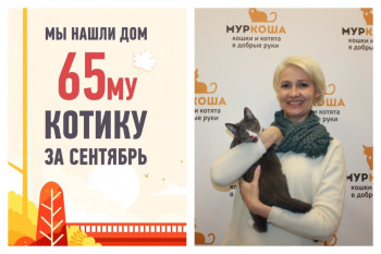 У Виго появилась хозяйка!