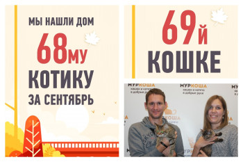 Джек и Джилл уезжают домой вместе!