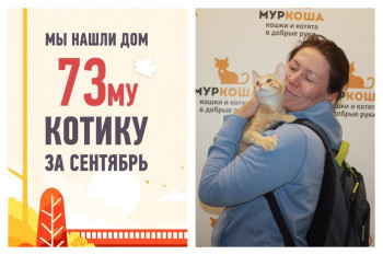 Щегол рад познакомить вас с новой хозяйкой!